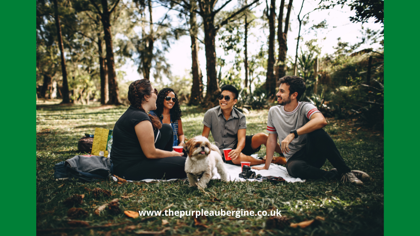 Tips And Ideas For The Perfect Picnic